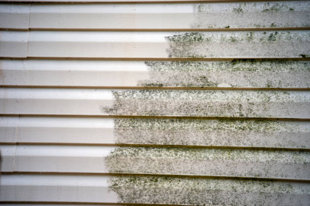 Affordable Siding Repair and Maintenance Services in Powder Springs, GA